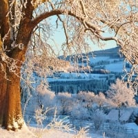 Winter in Austria