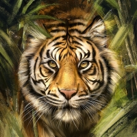 Tiger by Vincent Chu