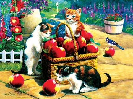 We found a bumper - kitten, art, kevin walsh, mar, cat, basket, pisici, red, fruit, apple