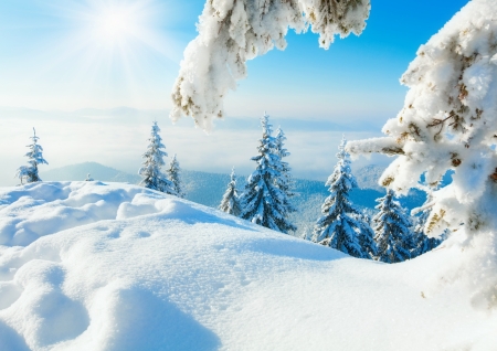 Snowy hills - trees, hills, winter, beautiful, snow, mountain, sky