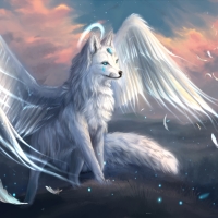 Angel fox