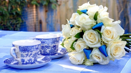 white roses - blue, cups, flowers, photography, ribbon, roses, white