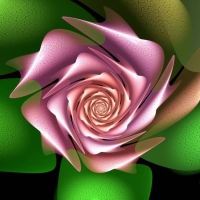 Fractal Rose