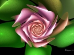 Fractal Rose