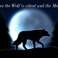 Sometimes the wolf is silent and the moon howls