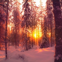 Magical Beginning