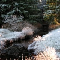 Reflections Of Frost