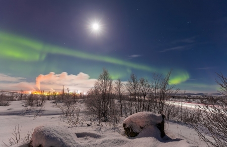 winter scene - nature, photo, scene, winter