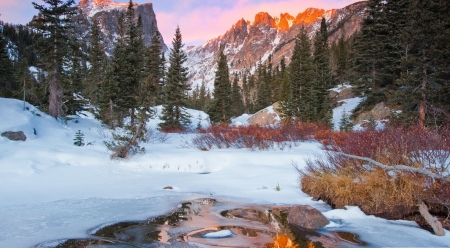 In the wild - winter, scene, wallpaper, landscape, wild, lake, pine, nature, forest, mountains