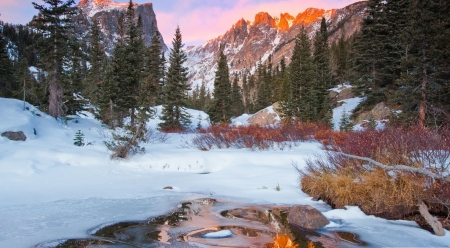 In the wild - winter, landscape, scene, forest, nature, pine, lake, mountains, wild, wallpaper