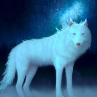 White wolf