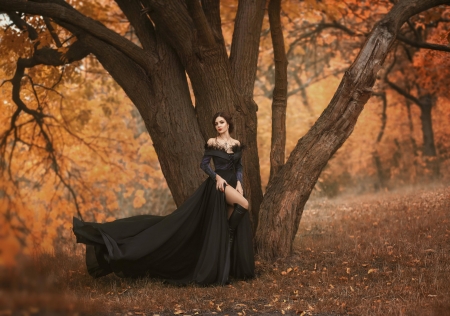 Beauty - black, model, girl, dress, woman, tree, irina chernyshenko, autumn, toamna
