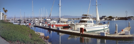 Boats in a Southern California Harbor (Wide View)