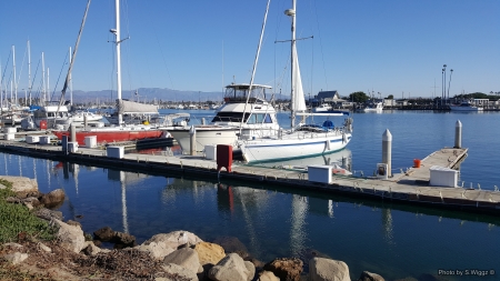 Boats in a Southern California Harbor