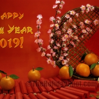 Chinese New Year 2019