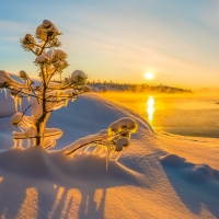 Winter sunrise