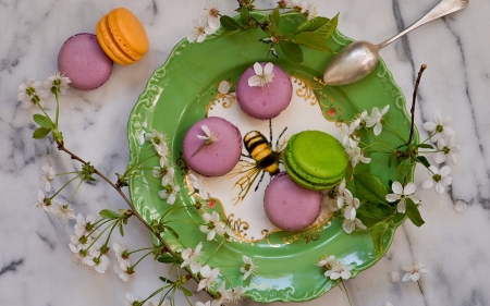 cookies - plate, macaron, photography, cookies, food, sweet