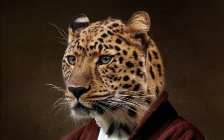 :) - fantasy, leopard, animal, lord, mario spagnolla, face, jaguar