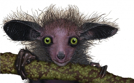 What Am I ? - yet, big, ugly, green, eyes, cute, funny, look