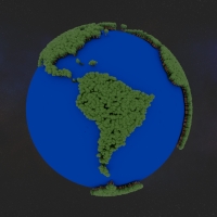 serious trees infestation south america