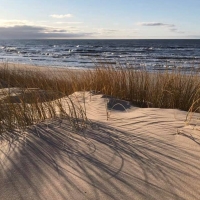 Winter Beach in Latvia