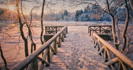 wooden bridge - winter, trees, bridge, snow