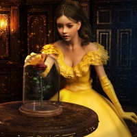 The rose