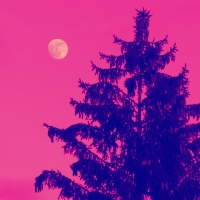 A Pink Evening for Luna :D