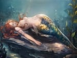 Sleeping Mermaid