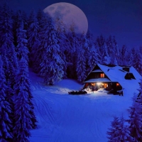 Winter Night