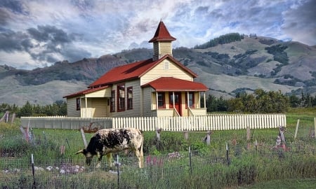 Old School House and Church - cow, School house, cozy, fence, church, pasrure, mountain, Secluded, ozy, country