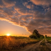 Nature Road Sunset