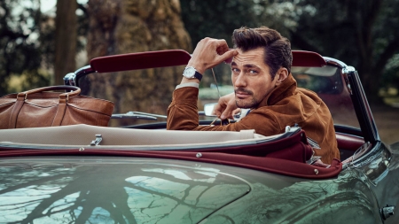 David Gandy - David Gandy, man, car, model