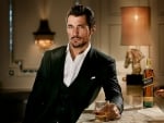 David Gandy