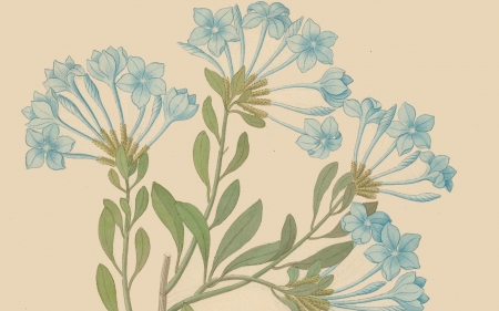 Blue Beauty - beige, blue, flowers, green