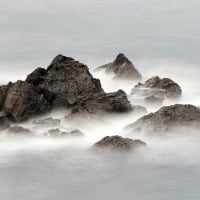 Foggy Waves