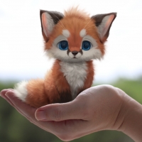 Pocket fox