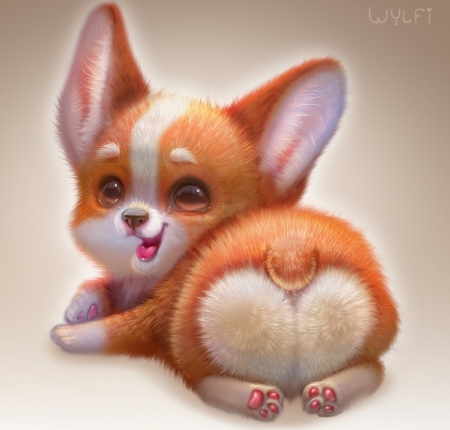 :) - heart, corgi, yulia sivtsova, dog, orange, fantays, frumusete, valentine, cute, puppy, luminos