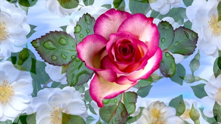 ♥️ - Pink, Water, Flowers, Roses