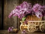 Lilacs