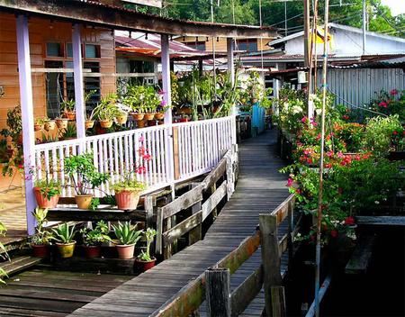 floating garden BRUNEI  - lake, landscape