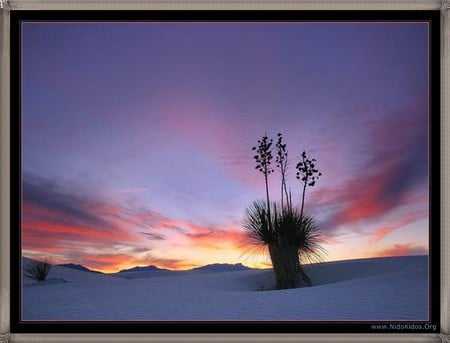 sunset  - landscape, sunset, sky