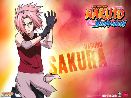 Sakura-Naruto - anime, naruto, sakura