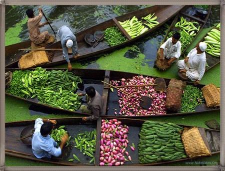 boats  - boats, vegitabls