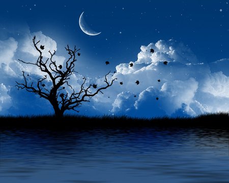 Late at night - moon, tree, sea, blue