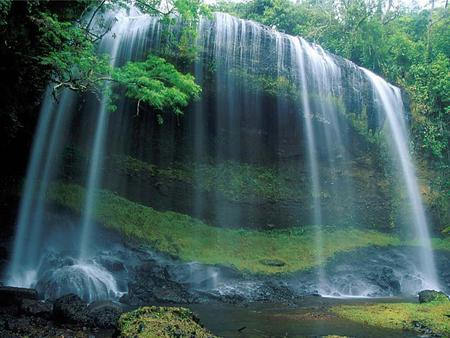 Waterfall - nature, trees, waterfall