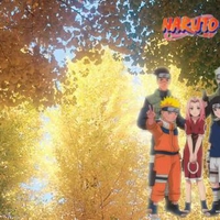 Naruto Friends