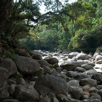 Along the Mossman Gorge