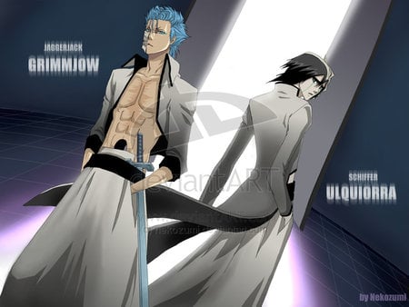 grimmjow and Ulquiorra