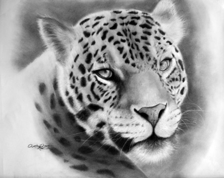 Leopard Silhouette - big cats, felines, leopard, cats, black and white, animals